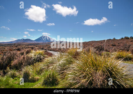 Mount Ngauruhoe im Tongariro National Park, Manawatu-Wanganui, Neuseeland Stockfoto