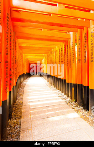 Japanischer Text geschrieben am bunten roten Torii Toren unterstützt Wiederholung im Fushimi Inari-Taisha Schrein mit keine anwesenden in Ky Stockfoto