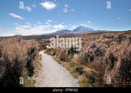 Mount Ngauruhoe im Tongariro National Park, Manawatu-Wanganui, Neuseeland Stockfoto