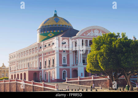 Teatro Amazonas (Amazonas Theater) das Opernhaus in Manaus, Brasilien Amazon Stockfoto