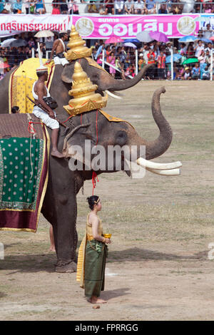 Surin Elephant Fair ein Festzug in der Stadt Surin, Isan, Thailand, Asien Stockfoto