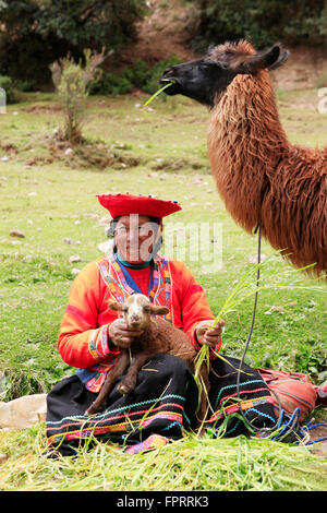 Peru, Anden, Cusco, Sacred Valley, eine Quechua-Frau mit einem Lama, traditionelle Kleidung, indigene person Stockfoto