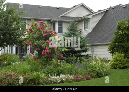 Garten-Insel mit Rose John Cabot Spalier Stockfoto