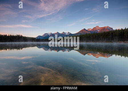 Der Bug-Bereich spiegelt sich in Herbert Lake in der Morgendämmerung, Banff Nationalpark, Kanadische Rockies, Provinz Alberta, Kanada Stockfoto