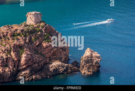 Genueser Wachturm auf Felsen über dem Meer, in der Nähe von Porto, Korsika, Frankreich Stockfoto