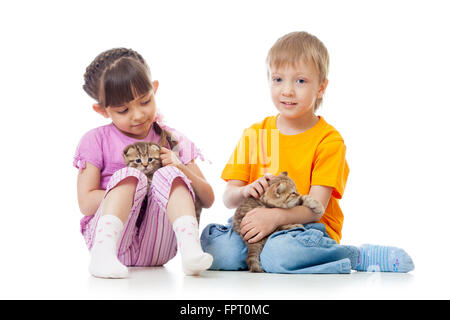 Kleine Mädchen und Jungen spielen mit schönen schottischen Kätzchen isoliert Stockfoto