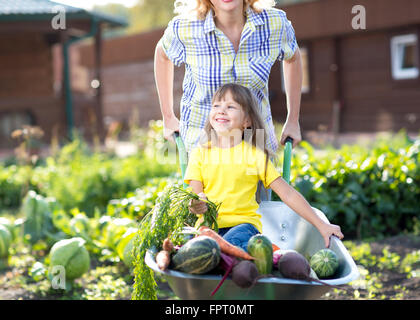 kleines Kind Mädchen innen Schubkarre mit Gemüse im Garten Stockfoto