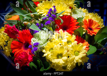 Gemischter Blumenstrauß. Stockfoto