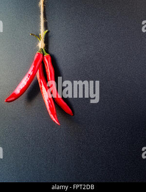 Drei rote Peperoni hängen gegen eine körnige dunkelblauen Hintergrund. Stockfoto