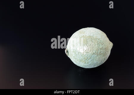 Bio-Zitrone in trockenen blauen Grauschimmel auf einem schwarzen Hintergrund bedeckt. Stockfoto