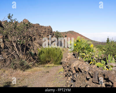 Gut vorbereitet Weg nähert sich Berg Bilma Vulkan auf einer Wanderung im vulkanischen Landschaft im westlichen Teneriffa-Kanarische Inseln-Spanien Stockfoto