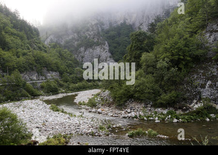 Trigrad-Schlucht in den Rhodopen im Nebel Stockfoto