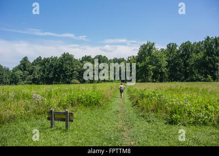 Weibliche Wanderer durch offenes Feld in einem Park in Virginia auf dem Appalachian Trail Stockfoto