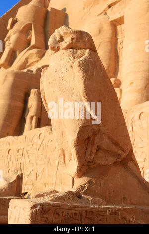 Falken-Statue am Eingang zum Sonnentempel von Ramses II, Abu Simbel in Ägypten Stockfoto