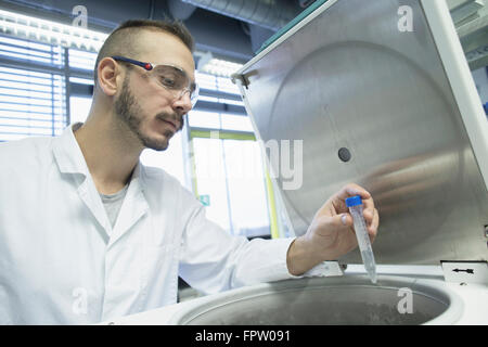 Junge männliche Wissenschaftler untersuchen Reagenzglas im Labor Apotheke, Freiburg Im Breisgau, Baden-Württemberg, Deutschland Stockfoto