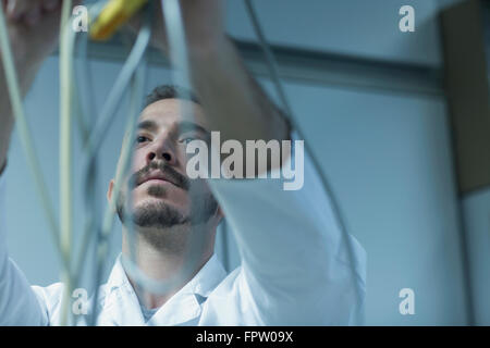 Junge männliche Wissenschaftler in einem Labor Apotheke, Freiburg Im Breisgau, Baden-Württemberg, Deutschland Stockfoto