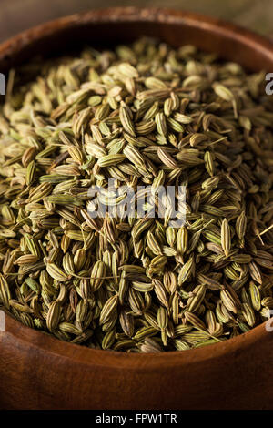 Rohe Bio Fenchel Samen einsatzbereit Stockfoto