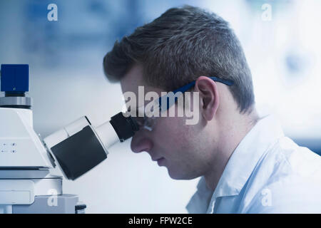 Junge männliche Wissenschaftler Blick durch das Mikroskop in einem optischen Labor, Freiburg Im Breisgau, Baden-Württemberg, Deutschland Stockfoto