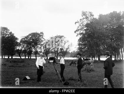 1900ER JAHRE MANN FOTOGRAF MIT GROßFORMATIGEN KAMERA FOTOGRAFIEREN KÜHE IN FELD MIT DREI TEENAGER JUNGEN ASSISTENTEN Stockfoto