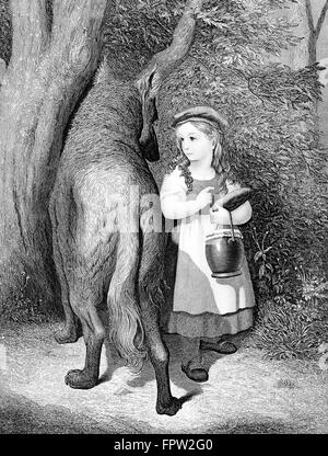 ABBILDUNG VON LITTLE RED RIDING HOOD & BIG BAD WOLF IM WALD MÄRCHEN KINDER GESCHICHTE LITERATUR GEFAHR Stockfoto