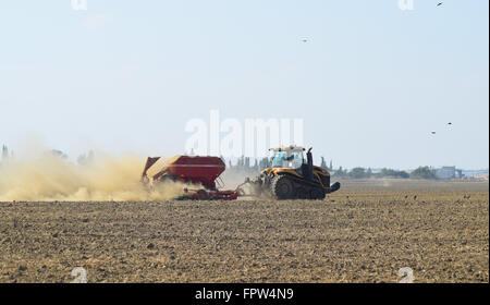 Traktor fährt auf dem Feld und macht den Dünger in den Boden. Wolken von Staub aus dem trockenen Boden-Traktor-Anhänger. Düngemittel Stockfoto