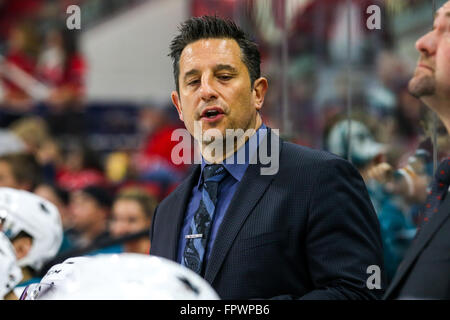 San Jose Sharks Assistent Trainer Bob Boughner während der NHL-Spiel zwischen den San Jose Sharks und den Carolina Hurricanes in der PNC-Arena. Stockfoto