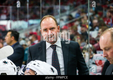 San Jose Sharks head Coach Peter DeBoer während der NHL-Spiel zwischen den San Jose Sharks und den Carolina Hurricanes in der PNC-Arena. Stockfoto