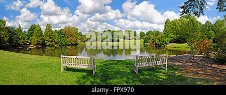 Ein Panorama auf einen kleinen See und zwei Holzbänken auf einem brillanten Sommertag. Stockfoto