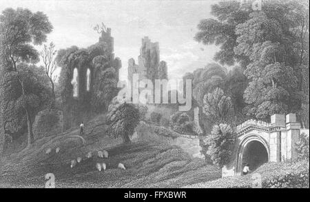 WALES: Hawarden Castle, Flintshire: Gastineau, antiken Druck 1850 Stockfoto