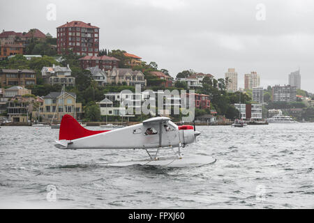 Wasserflugzeug im Hafen von Sydney an den Start Stockfoto