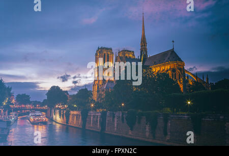 Kathedrale Notre-Dame in der Nacht. Paris, Frankreich. Stockfoto