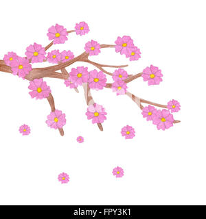 Aquarell Sakura Zweig mit blühenden Blumen. Abbildung isoliert auf weißem Hintergrund. Stockfoto