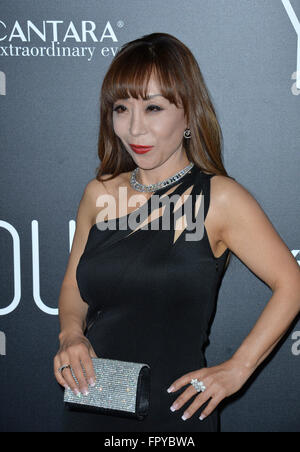 LOS ANGELES, CA - 17. November 2015: Opernsängerin Sumi Jo an der Los Angeles premiere ihres Films "Jugend" bei der Directors Guild of America. Stockfoto