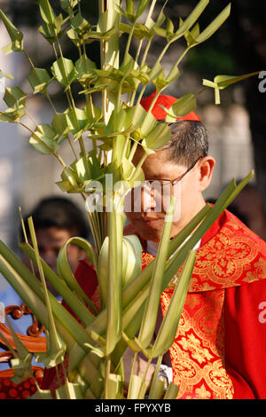 Manila Erzbischof Luis Antonio Cardinal Tagle führt den Segen der Palmwedel am Plaza Roma Intramuros Palmsonntag. Am Palmsonntag den triumphalen Einzug Christi in Jerusalem zu gedenken, und auch markiert den Beginn einer Woche Erinnerung an leiden, Tod und Auferstehung. (Foto von Marlo Cueto / Pacific Press) Stockfoto