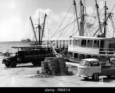 1962 - Britisch-Honduras - weltweit neueste Hotspot?: Britisch-Honduras, der einzigen britischen Kolonie in Mittelamerika, sieht es schnell Necome das Zentrum der neuen internationalen Blendenflecken, könnte. Innerhalb der nächsten paar Tage es wird davon ausgegangen, der Royal Navy Angriff Träger Ark Royal mit 30 Buccaneer und Phantom-Bomber an Bord in Belize, die größte Stadt und ehemalige Hauptstadt der Bevölkerung 120.000 Abhängigkeit angekommen. Sechs andere Schiffe und 4.000 Truppen sind auch als Überschrift für Britisch-Honduras gemeldet. Die britische Kraft wird nach Berichten von Gustemalan Truppen auf Bor Körpermodell gesendet Stockfoto