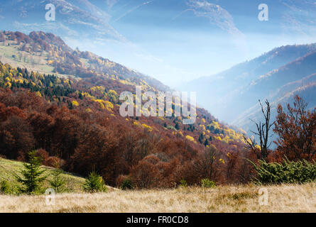 Morgennebel im Herbst Karpaten und bunten Bäumen am Hang. Stockfoto