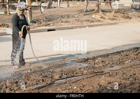 Arbeit Frauen Bewässerung in Baustelle Stockfoto