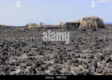 Hütte oder Ari die Afar mit ovalen Form hergestellt von Palm Matten umgeben von Dorn Barrikade auf felsigen Lava Boden. Weg vom Afre Stockfoto