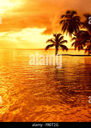 Tropischer Sonnenuntergang an einem Strand mit einer Kokospalme auf Moorea, einer Insel in der Nähe von Tahiti in Französisch-Polynesien. Stockfoto