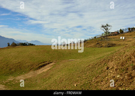 Der Cingjing-Veteranen-Farm in Taiwan Stockfoto