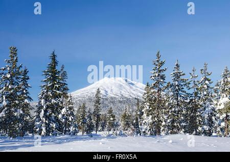 Dieses Foto von malerischen Mt. Bachelor stammen von einem nahe gelegenen SnoPark unweit von Bend, Oregon. Stockfoto