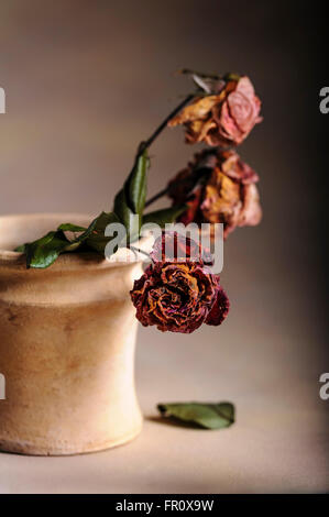 Alten verblichenen Rosen auf einem strukturierten Hintergrund. Stockfoto