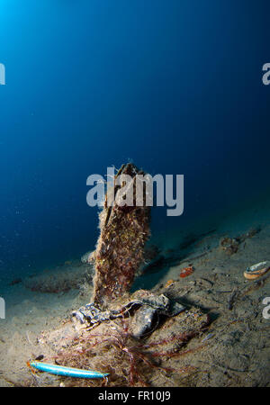 Riese Shell eingetaucht in den Sand unter dem Meer Stockfoto