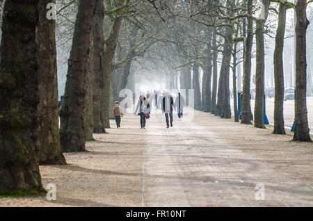 Leute, Familie, die an einem kühlen nebligen Tag an einer von Bäumen gesäumten Allee auf Der Mall in der City of Westminster, London, Großbritannien, spazieren gehen. Stockfoto