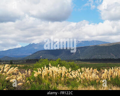 Mount Ruapehu im Tongariro National Park in Neuseeland. Innenansicht der offenen Trainer des nördlichen Explorer Zug aus. Stockfoto