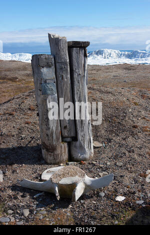 Walross Knochen, Kap Vankarem, Wrangel Island, Tschuktschensee, Russlands Fernen Osten Stockfoto