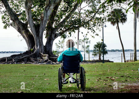 Florida, Süd, FL, Fort Ft. Myers, Thomas Edison und Henry Ford Winter Estates, historisches Museum, Caloosahatchee River Water, Waterfront, Water, seni Stockfoto