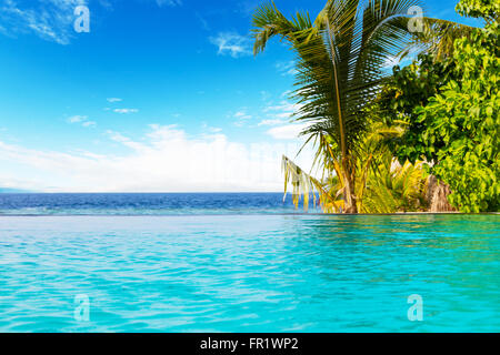 Schwimmbad auf Tropicla Insel Stockfoto