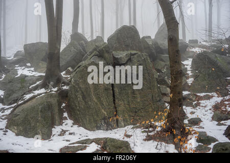 Felsen und Wald im Nebel bei Tauwetter Sleza Mount verschönerte Park Stockfoto