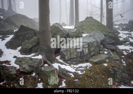 Felsen und Wald im Nebel bei Tauwetter Sleza Mount verschönerte Park Stockfoto